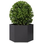 Fioriera da Giardino Nera Esagono 69x60x45 cm in Acciaio