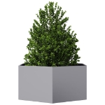 Fioriera da Giardino Esagono 104x90x45 cm in Acciaio Zincato
