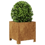 Fioriera da Giardino 30x30x30 cm in Acciaio Corten
