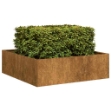 Fioriera Arrugginita 100x100x30 cm in Acciaio Corten