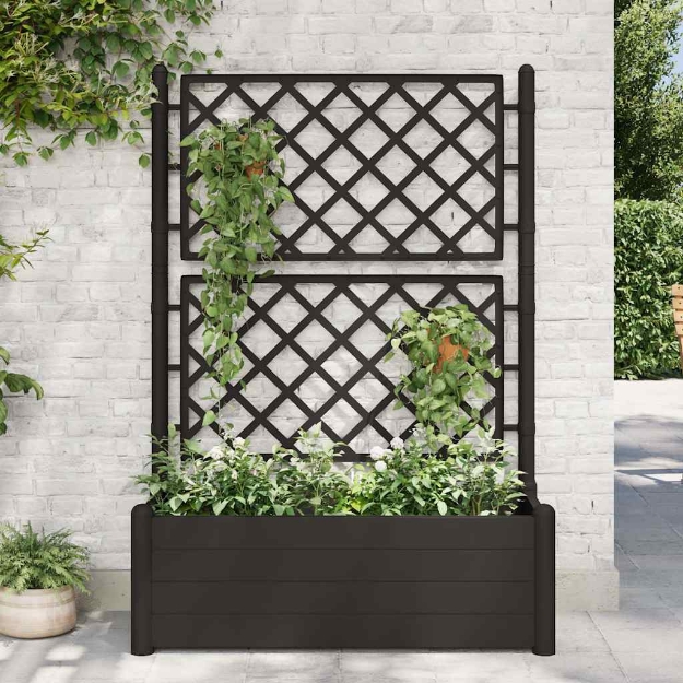 Fioriera da Giardino con Graticcio 100x43x142 cm PP Antracite