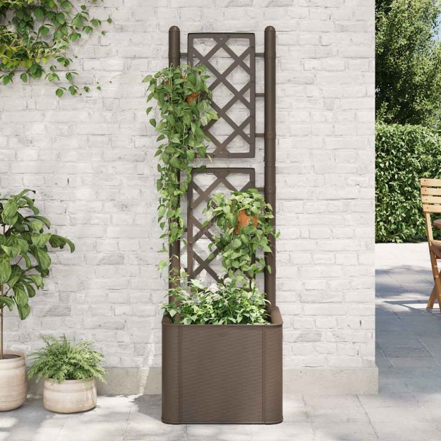 Letto Rialzato da Giardino con Graticcio e Irrigazione Moca