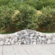 Cesti Gabbioni ad Arco 15 pz 200x30x40/60 cm Ferro Zincato