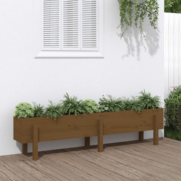 Fioriera Rialzata da Giardino Ambra 160x30x38 cm Massello Pino