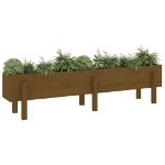 Fioriera Rialzata da Giardino Ambra 160x30x38 cm Massello Pino