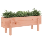 Fioriera Rialzata Giardino 101x30x38 cm Legno Massello Douglas