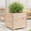 Fioriera da Giardino 50x50x49,5 cm in Legno Massello di Pino