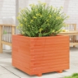 Fioriera Giardino Marrone Cera 60x60x49,5cm Legno Massello Pino