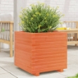 Fioriera Giardino Marrone Cera 50x50x49,5cm Legno Massello Pino