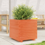 Fioriera Giardino Marrone Cera 50x50x49,5cm Legno Massello Pino