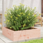 Fioriera da Giardino 80x80x23 cm in Legno Massello di Douglas