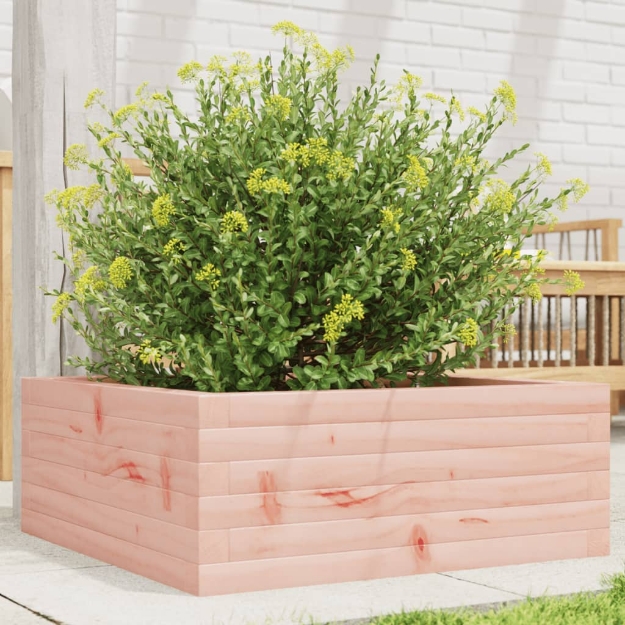 Fioriera da Giardino 60x60x23 cm in Legno Massello di Douglas