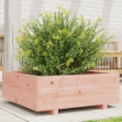 Fioriera da Giardino 70x70x26,5 cm in Legno Massello di Douglas