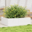 Fioriera da Giardino Bianca 90x60x23 cm Legno Massello di Pino