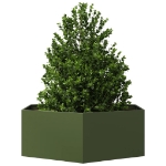 Fioriera da Giardino Verde Oliva Esagono 138x120x45 cm Acciaio