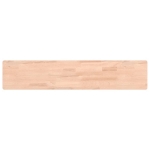 Mensola a Parete 100x20x4 cm in Legno Massello di Faggio
