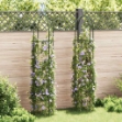 Set Torri ad Arco 2 pz per Piante Rampicanti da Giardino