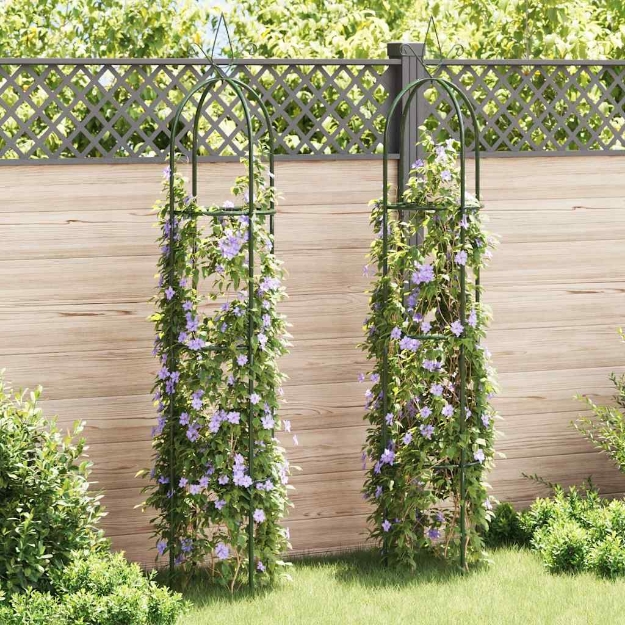 Set Torri ad Arco 2 pz per Piante Rampicanti da Giardino