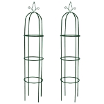 Set Torri ad Arco 2 pz per Piante Rampicanti da Giardino
