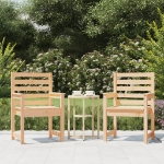 Sedie da Giardino 2pz 60x48x91 cm Legno Massello di Pino