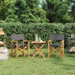 Sedie da Regista Pieghevoli 2 pz Grigio Legno Massello di Teak